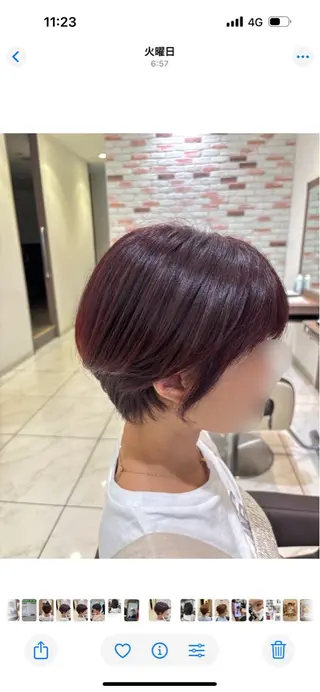 ショート ✨白髪ぼかし脱白髪/ 山口智弘✨のヘアスタイル