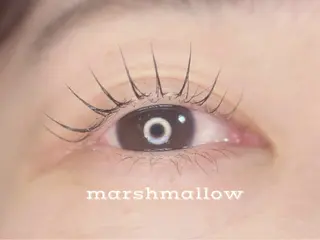 マツエク・マツパ 🦋MaaZlash 南流山FUKA🤍のマツエク・マツパデザイン