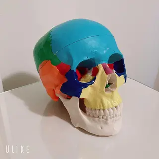 メンズ Ｂ&H所属・頭痛•肩こり専門/ 眉サロンB&H心斎橋のエステ・リラクイメージ