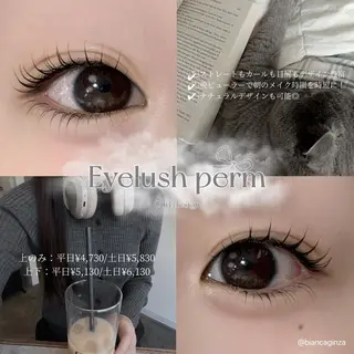 マツエク・マツパ Bianca 銀座 Sakuraiのマツエク・マツパデザイン