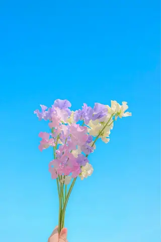 高岡⌇ Ayaka🌻のエステ・リラクイメージ