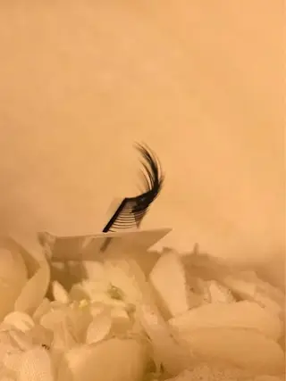 マツエク・マツパ SHO KOのマツエク・マツパデザイン