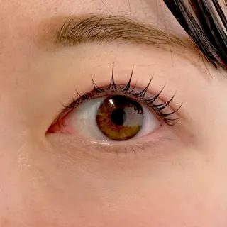 マツエク・マツパ Carrefour Noa綾瀬店所属・ノア 綾瀬のマツエク・マツパデザイン