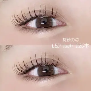 マツエク・マツパ 榎本 仁菜 ♡全メニューLED可のマツエク・マツパデザイン