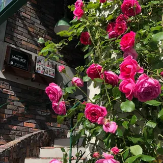 【日本シュガーリング協会認定】 MADRUGADA Sugar所属・名古屋シュガーリング 専門サロン NANAのエステ・リラクイメージ