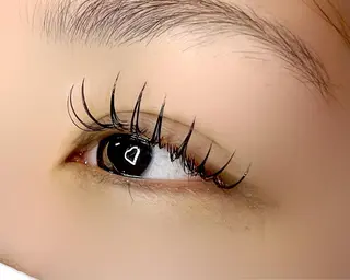 マツエク・マツパ Celeste Venus所属・🧸Celeste Venusのマツエク・マツパデザイン