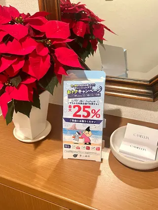 CAMELLIA カメリアのマツエク・マツパデザイン