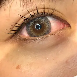 マツエク・マツパ Rose Hip所属・🌷 Saya.のマツエク・マツパデザイン