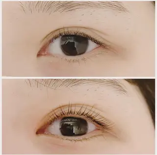 マツエク・マツパ ｍｉｐｐｙ 🪽のマツエク・マツパデザイン