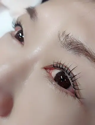 マツエク・マツパ eyelash Lierre所属・eyelash  lierre 🌟のマツエク・マツパデザイン