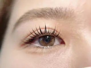 マツエク・マツパ Salon de milly 本町のマツエク・マツパデザイン