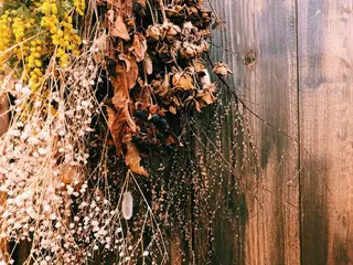 マツエク・マツパ UTA hair&eyelash所属・青木 百花のマツエク・マツパデザイン