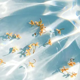 Lino kahili　Eyelash＆Nail 【リノカヒリ　アイラッシュ＆ネイル】所属・🐬Lino🫧 吉田 優花のマツエク・マツパデザイン