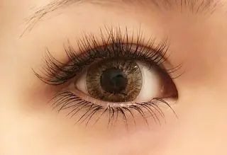 マツエク・マツパ Loy la long所属・Loylalong ロイラロンの眉毛・アイブロウイメージ