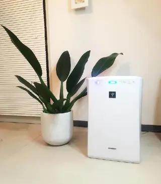 ネイル ネイルサロンアリューム所属・ネイルサロン アリュームのネイルデザイン