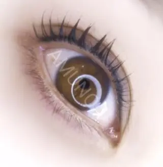 マツエク・マツパ 美容室アムノア所属・美容室 AMUNOAのマツエク・マツパデザイン