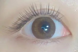 マツエク・マツパ まつげエクステ専門店RUBIA伏見桃山店所属・RUBIA ルビアの眉毛・アイブロウイメージ