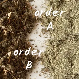 lymph care 'Welnəsのエステ・リラクイメージ