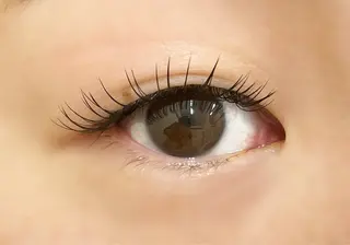 マツエク・マツパ DOLL -eyelash-のマツエク・マツパデザイン