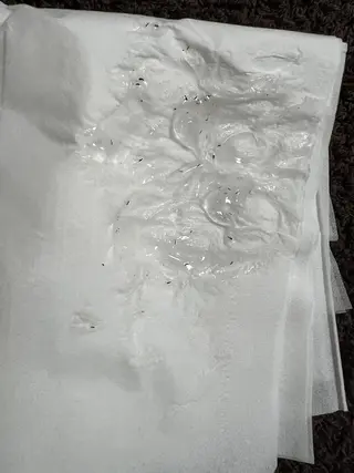 メンズ キッズ メンズ脱毛　FELISSE【フェリッセ】所属・メンズ脱毛フェリッセ /男女🆗キッズ🆗のエステ・リラクイメージ