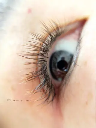 マツエク・マツパ Plume micoのマツエク・マツパデザイン