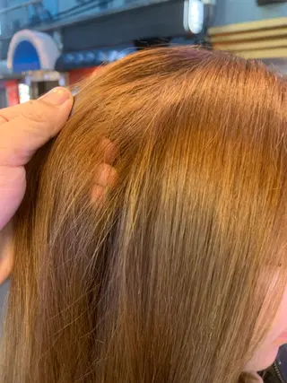 ロング カラー 東心斎橋🌏豆柴 🐾倶楽部のヘアスタイル