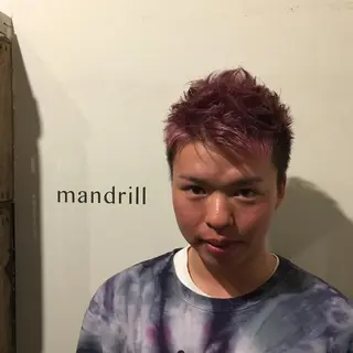 ショート カラー stream1st所属・ツヤカラー 🕊️sayakaのヘアスタイル