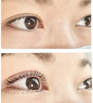 マツエク・マツパ Plume micoのマツエク・マツパデザイン