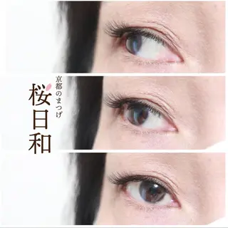 マツエク・マツパ 京都のまつげ桜日和 小島美桜のマツエク・マツパデザイン