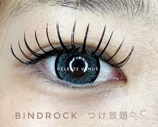 マツエク・マツパ Celeste Venus所属・🧸Celeste Venusのマツエク・マツパデザイン