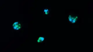 ネイル みー shakushiroのネイルデザイン