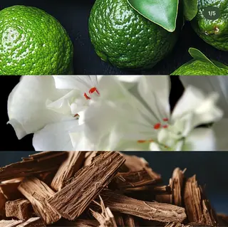 多治見店POLA 大島のエステ・リラクイメージ