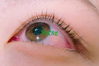 マツエク・マツパ EyelashSalon Liz.&所属・Liz.&現ino 平田のマツエク・マツパデザイン