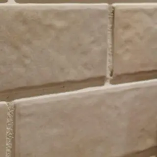 セミロング カラー パーマ 艶髪カラー&ウルフ フルカワ ヒロズミのヘアスタイル