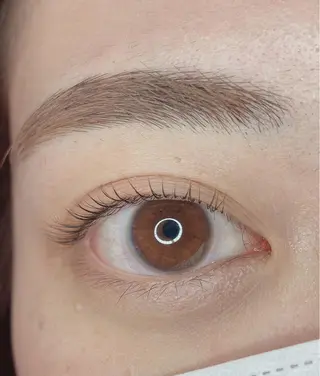 マツエク・マツパ TIARA池袋西口店 店長YASUKA💐のマツエク・マツパデザイン