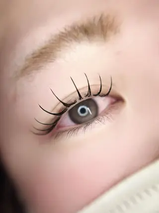 マツエク・マツパ eyelist. mizuki🐈‍⬛の眉毛・アイブロウイメージ