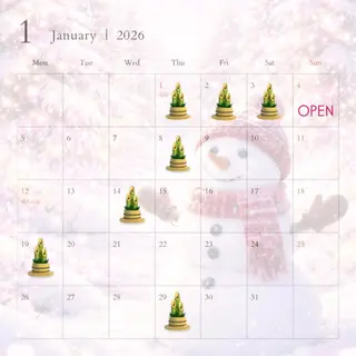 ネイル Nailsalon apricotのネイルデザイン