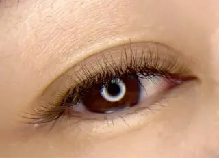 マツエク・マツパ tomte トムテのマツエク・マツパデザイン