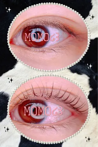 マツエク・マツパ モテデザインのプロ モモ🍑のマツエク・マツパデザイン