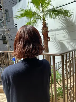 パーマ こまつばらみお/レイ ヤー/ダブルカラーのヘアスタイル