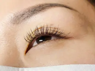 マツエク・マツパ まつ毛、毛穴ケア 専門サロンPlumeのマツエク・マツパデザイン