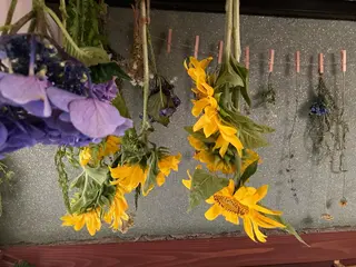 山嵜 まりこのその他イメージ