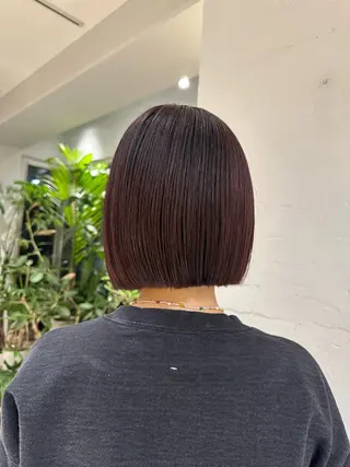 ミディアム カラー 🐈ブリーチ/ベージ ュ/ボブmiyu🐈のヘアスタイル
