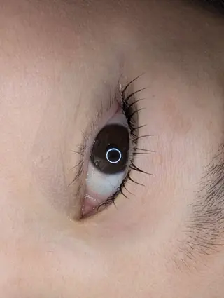 マツエク・マツパ のなか みきのマツエク・マツパデザイン