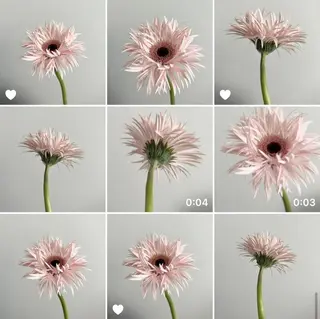 メンズ キッズ ネイル マツエク・マツパ アイブロウ 💞MONA💞痛み 最小限のまびきの眉毛・アイブロウイメージ