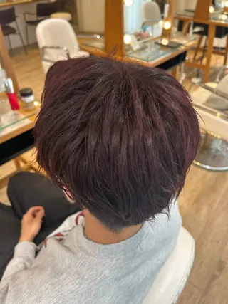 メンズ 志賀 菜妃のヘアスタイル