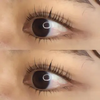 マツエク・マツパ 《eyelash ｉｉｔｅ》森のマツエク・マツパデザイン