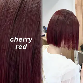 ショート カラー レイヤーカット🐺 hina🩶のヘアスタイル