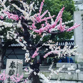 シュガーリングサロン　ダリア所属・Dahliaダリア シュガーリングサロンのエステ・リラクイメージ