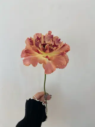 🌻花屋併設🌻濱 幸帆のヘアスタイル